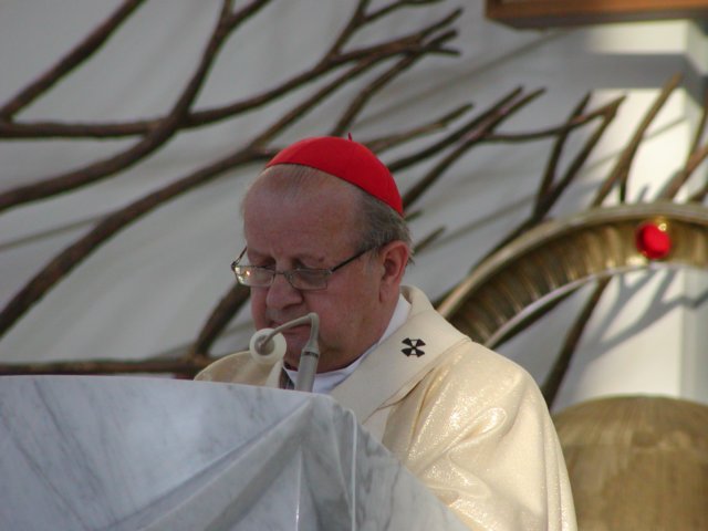 p1010031.jpg