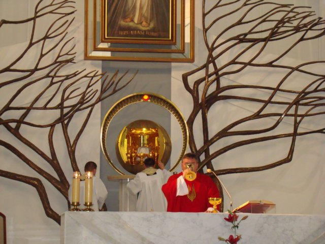 dsc02142.jpg