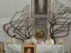 dsc05977_small.jpg