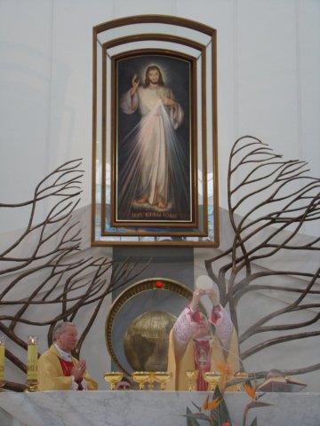 photo42.jpg