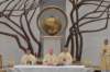 dsc_0008_small.jpg