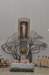 dsc_0009_small.jpg