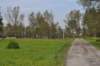 photo44_small.jpg