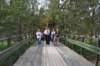 photo82_small.jpg