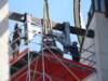 dsc06435_small.jpg