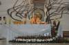 dsc_0041_small.jpg