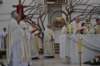 dsc_0005_small.jpg