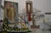 dsc_0008_small.jpg