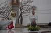 dsc_0017_small.jpg